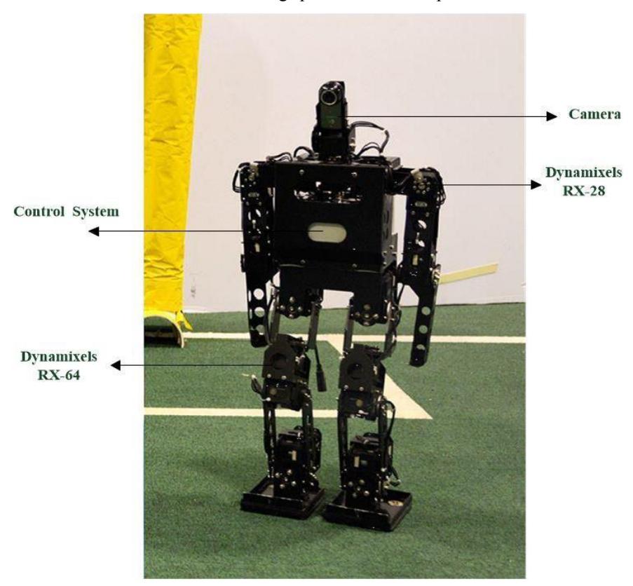 Fig. 1. Structure of the new Robot