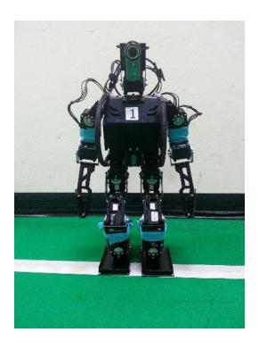 Fig.1. 'Hanuman' striker robot.