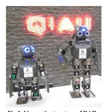 Fig.1. kinematic structure of DARwIn robot.