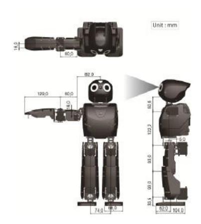 DARwIn-OP's dimensions.