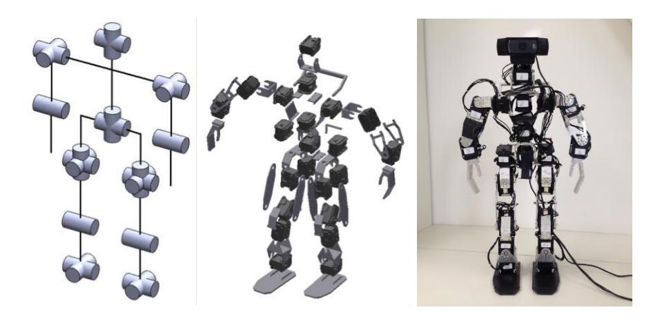 Fig. 1. The Milton Robot: From left to right, the Schematic representation of the DOF, the robot exploded view and a picture of the robot, frontal view.