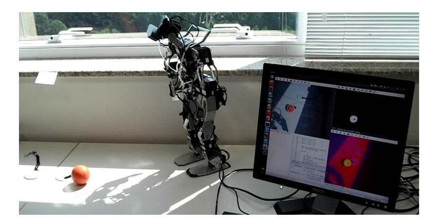 Fig. 2. The Milton Robot following a ball under direct sunlight and shadows.