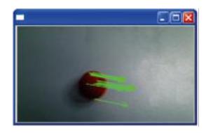 Optical flow: motion direction and velocity components.