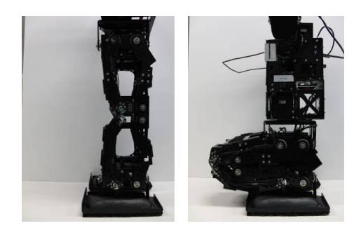 Fig. 4. Parallel mechanism of foot.