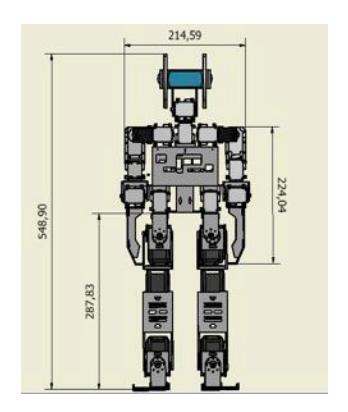 Figure 3. Mechanical dimensions and current walking pose.