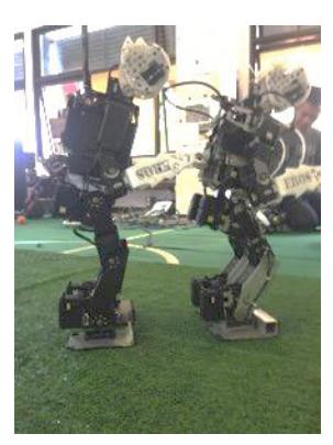 Figure 3. Mechanical dimensions and current walking pose.