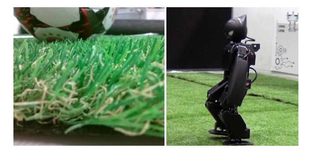 REJr walking on artificial grass play field