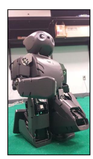 Fig. 1. A RoboPatriot