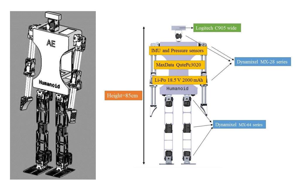 Figure 1 AE-Human new hardware designed robot