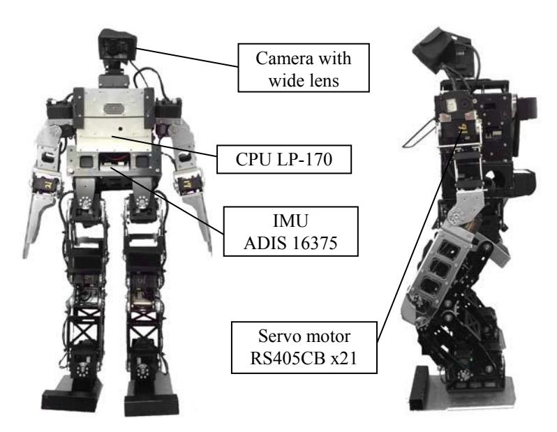 Fig. 1. Structure of the robot