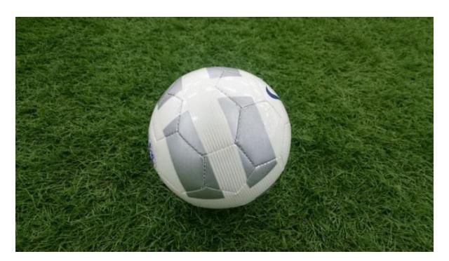 Fig. 5. A sample of a game ball in the RoboCup2015
