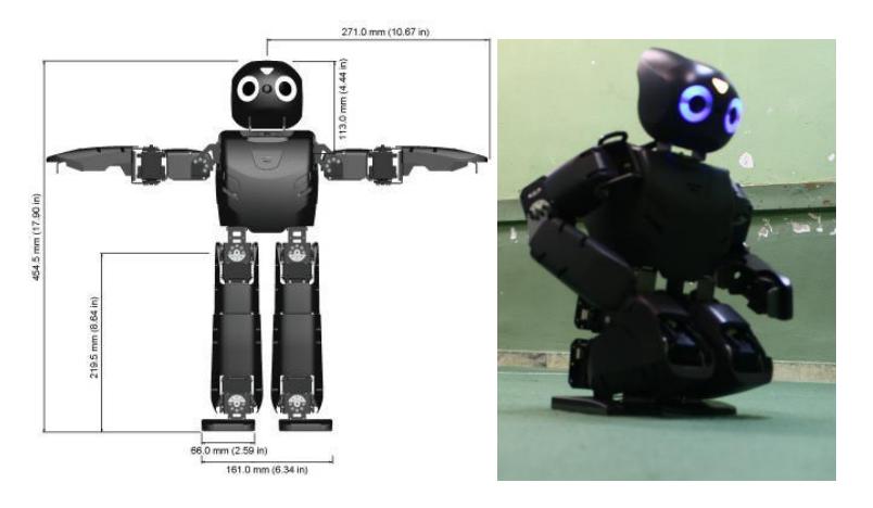 Figure 2: robot pictures