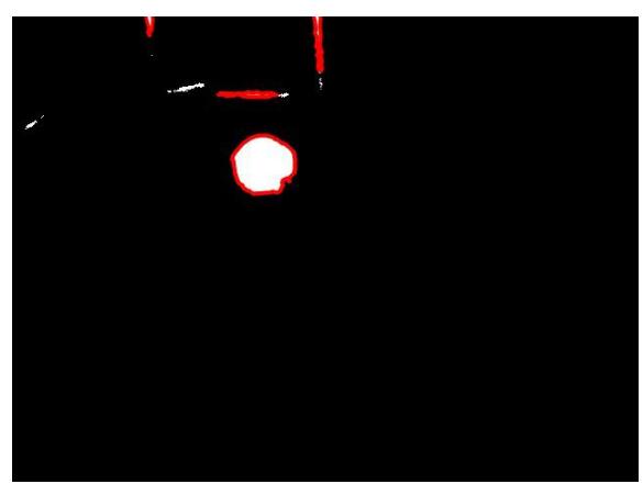 Fig. 3 Blurring image