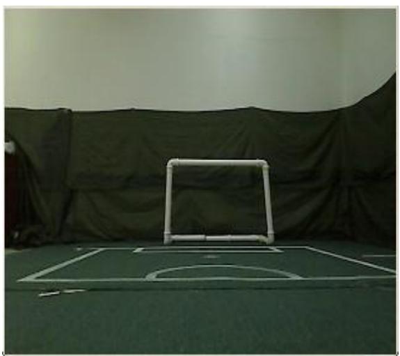 Fig. 5 Captured goal image