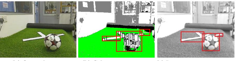 REJr's image processing (Red box:window of interest)