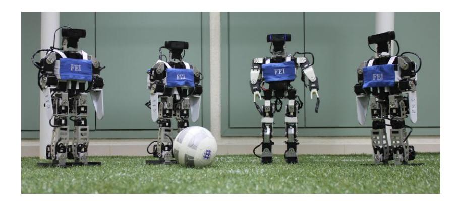 Fig. 2: Our robots.