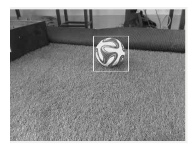 Fig. 4. Capture of Soccer