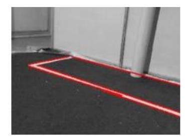 Fig. 6. The detection result