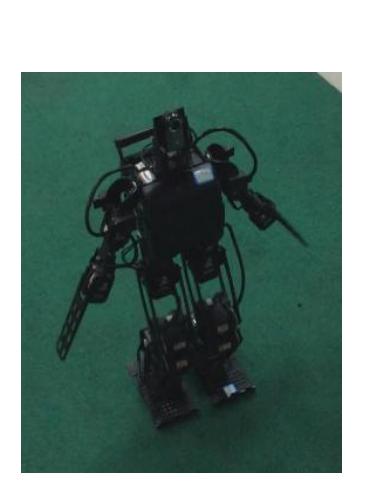 Figure 1: Robot