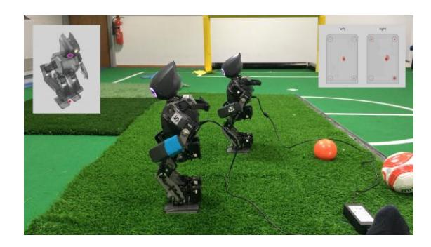 Fig. 3. Robots actively maintaining stability. Robot 2 (right) is equipped with FSR foot sensors and controls measured COP to be in the centre of support polygon. Robot 5 (left) has no foot sensors but derives stability reference point from IMU and orientation and controls this reference point to be within support polygon