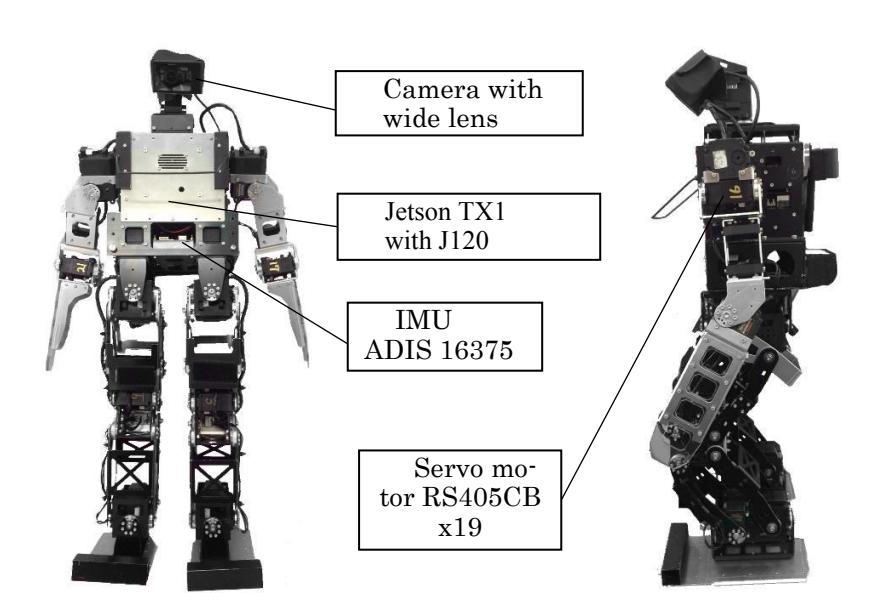 fig. 1. Structure of Robot