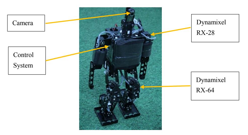 Fig. 1. The general description of robot