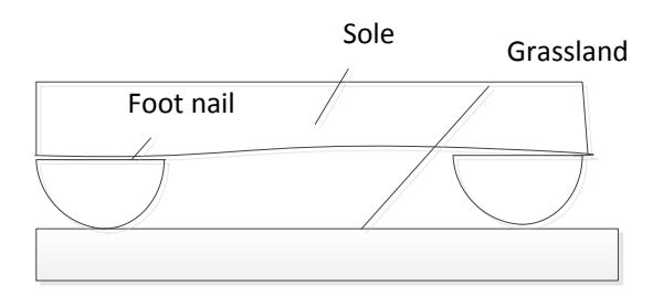 Fig. 4. The soles of the feet and the ground pin contact support