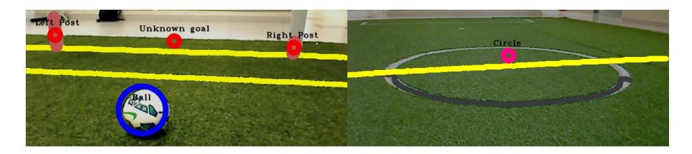 Illustration of the detection of objects in images extracted using the robot.