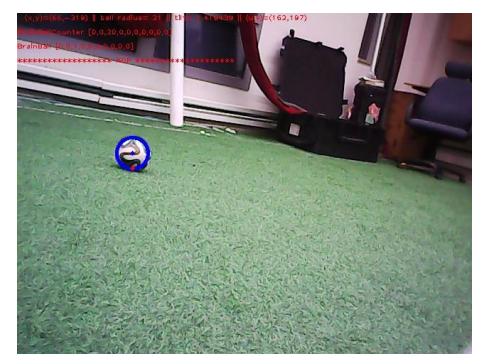 The robot detects the ball