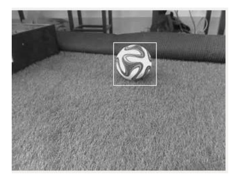 Fig.6. Capture of Soccer