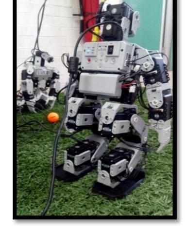 Figure 4. After the change of their feet
