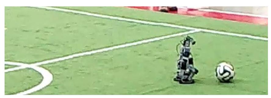 Figure 10: Localization of ball and field markings