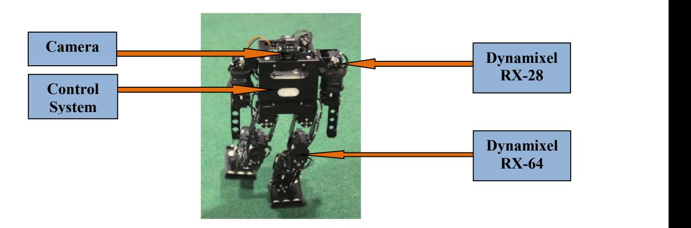 Fig. 1.The generaldescription of robot