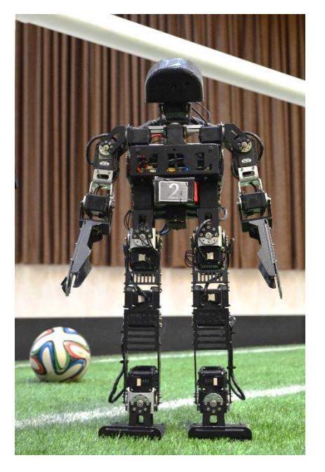 Ashkan humanoid robot.
