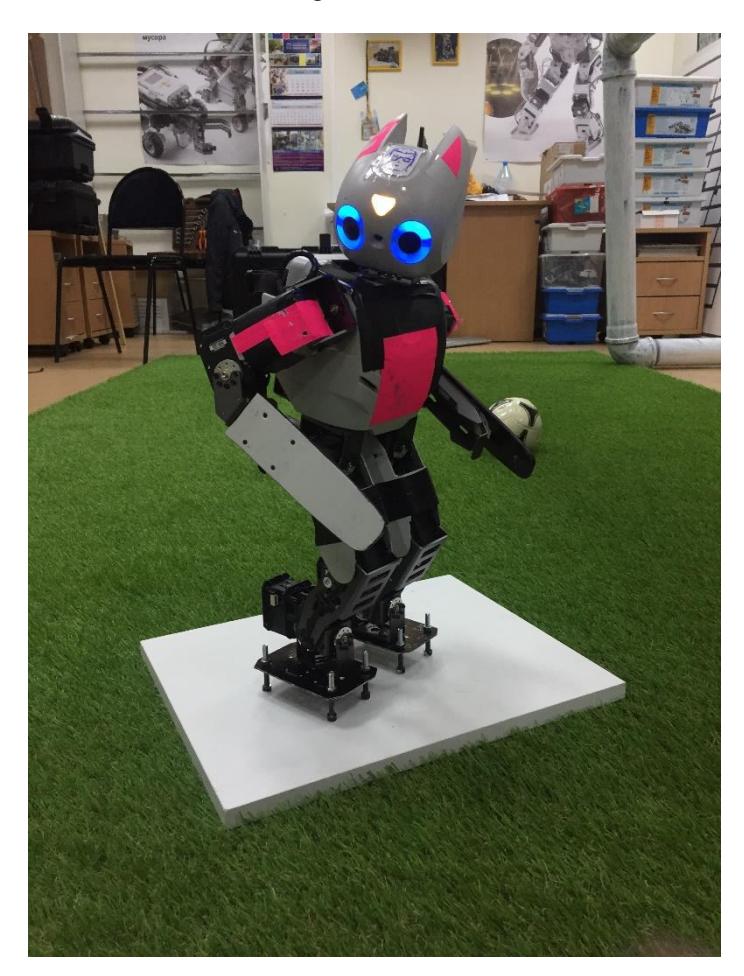 Fig. 1. Robot Platform