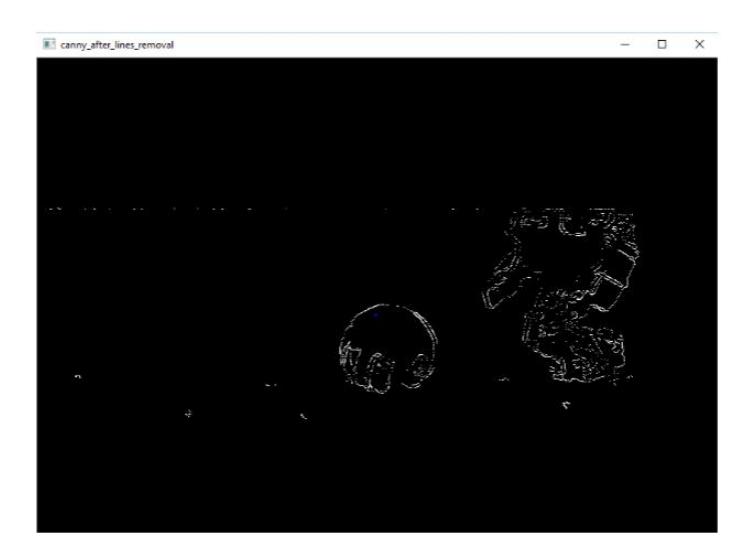 Figure 2: Image after line deletion