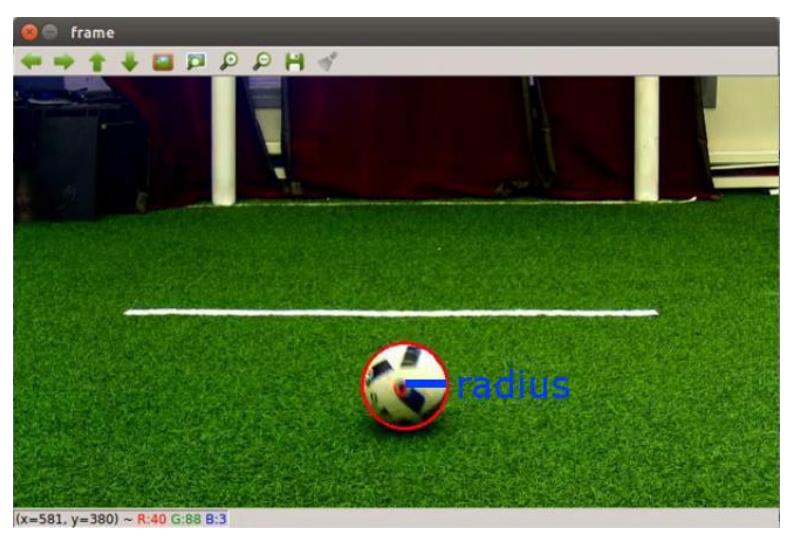 Figure 5: The robot detects the ball