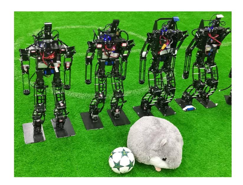 Fig. 1. Robot Maxwell