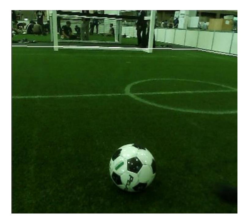 Fig. 6. Fieldline Detection
