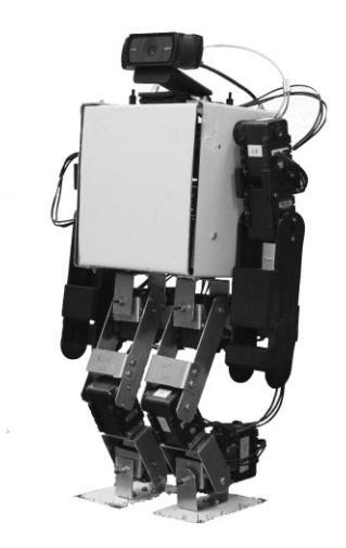 Fig. 1. Photograph of the robot.