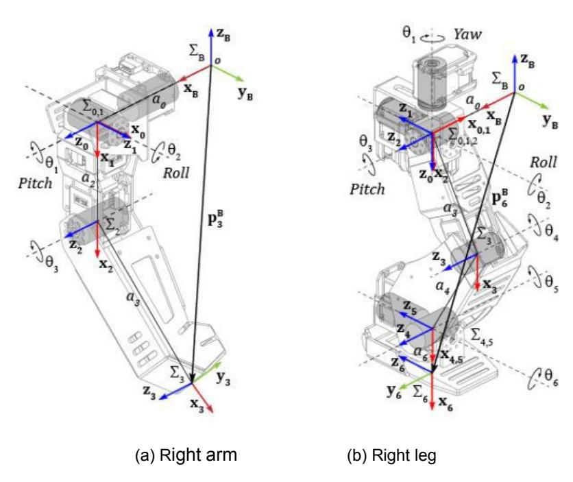 Fig. 2. Axis link coordinate frames as humanoid robot
