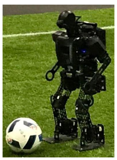 (a) Robot Kicking the Ball (b) Mechanical Sketch