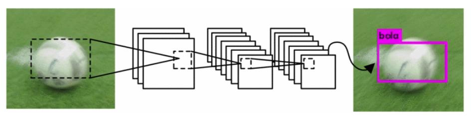 Fig. 4. YOLO recognition system.