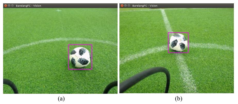 Fig. 6. Vision detecting ball in the field (a) outside the white line (b) inside the white line.