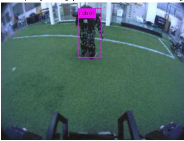 Fig. 4. Detecting Accelite as robot. The model was trained using dataset with only GankenKun's image.