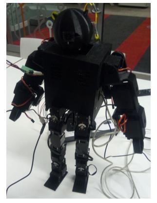 Humanoid platform.