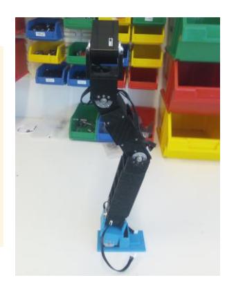 3D printed leg.