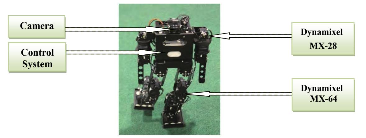 Fig. 1. The general description of robot