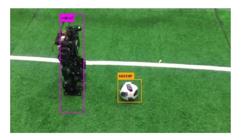 Fig.5. Detection with the robot and goal
