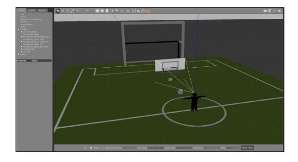 Fig. 5. A screenshot showing the robot in the humanoid field and the image captured by its camera.